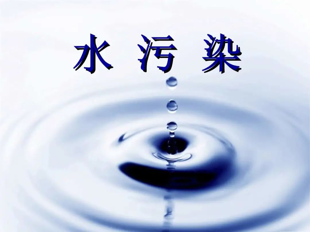 微信圖片_20241122225627.jpg